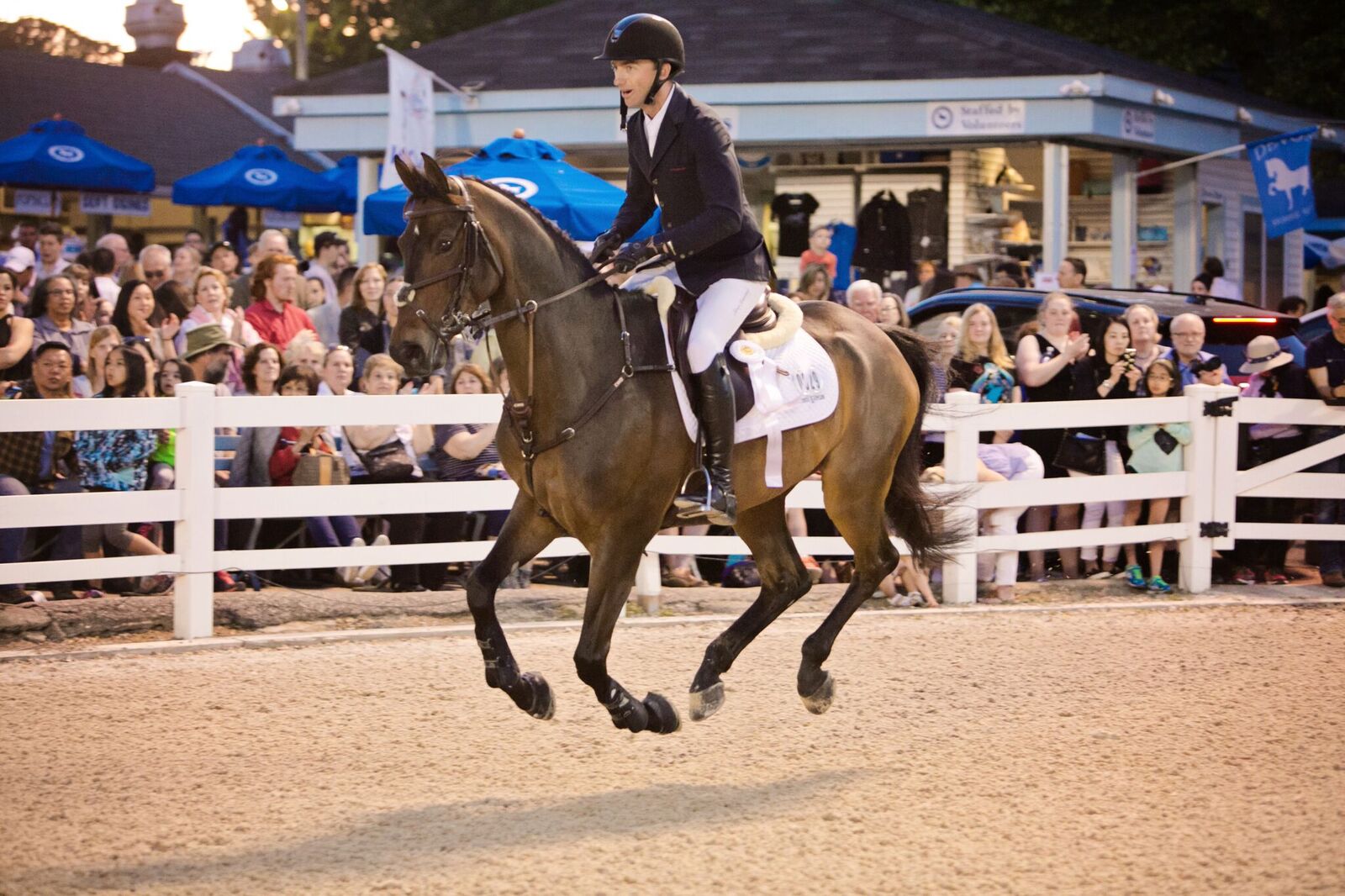  Devon Horse Show and Country Fair